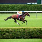 Race Track - Saratoga Springs, NY